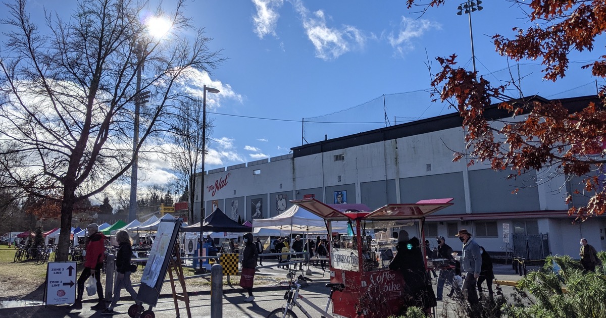 ブログの中身を入れ替えた事と近況について