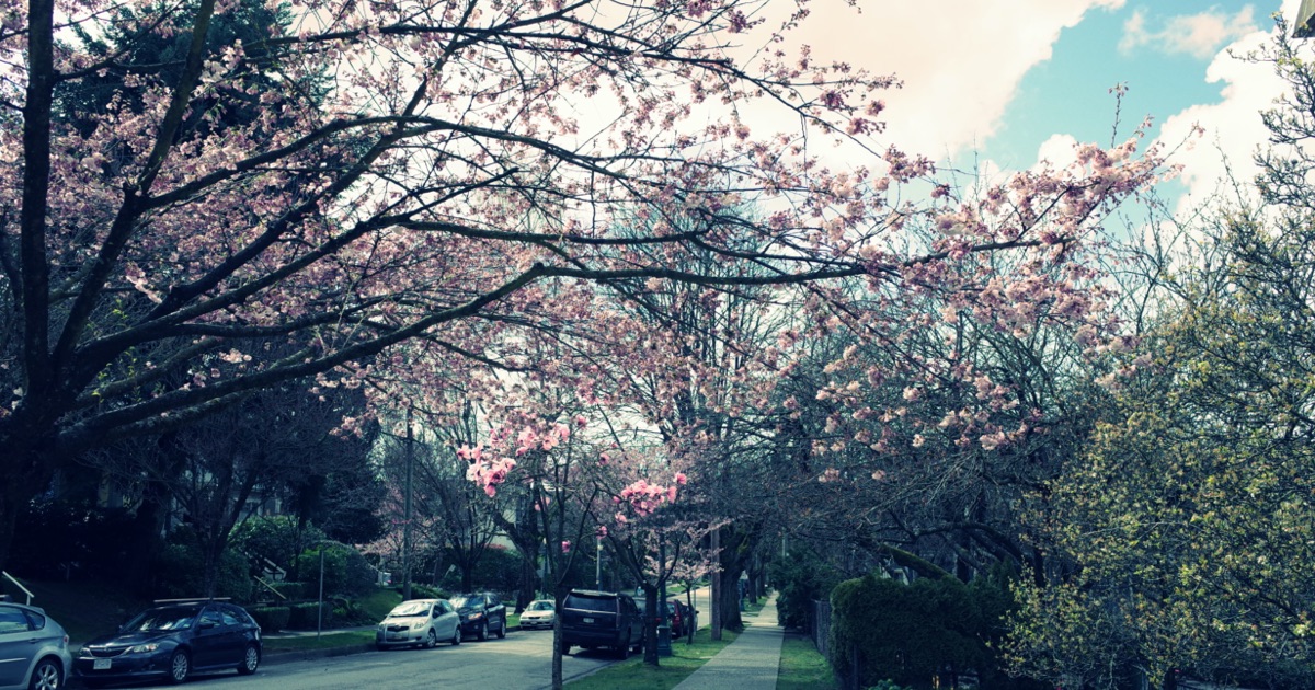 カナダのバンクーバーで永住権取得するまでのプロセス