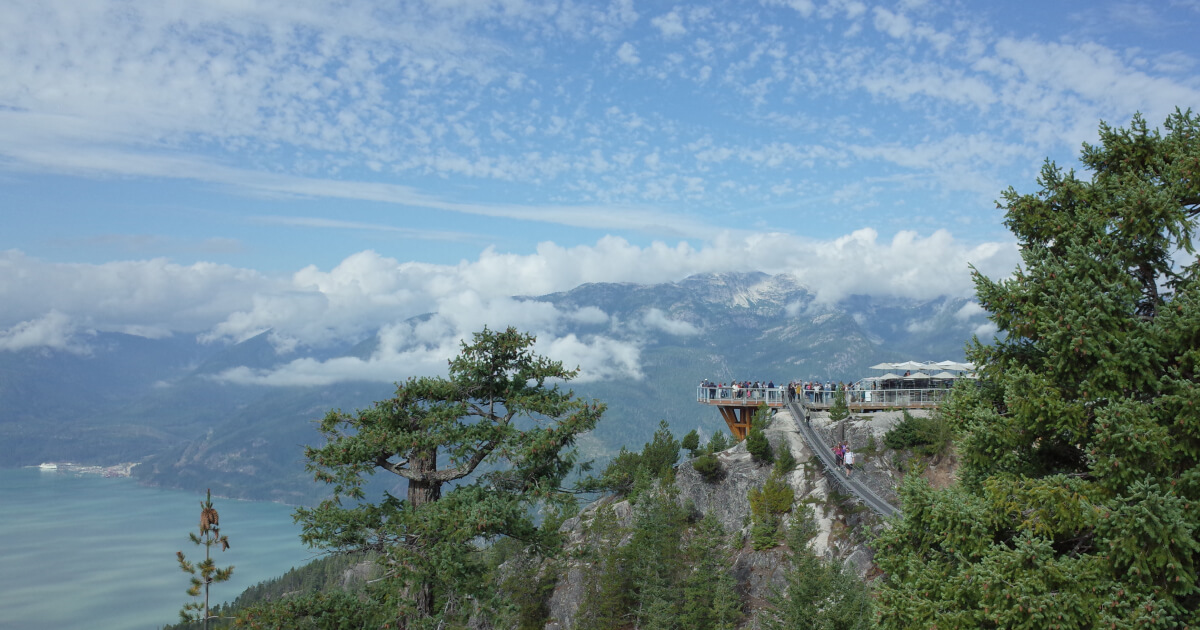 2025年の振り返りと2026年への抱負